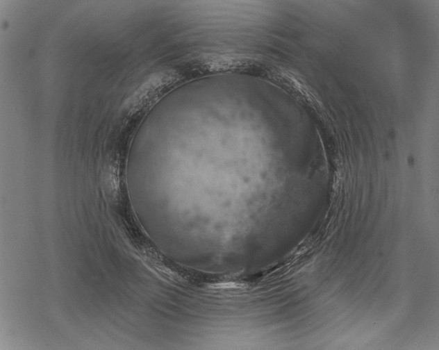 X0000068890691200605051358