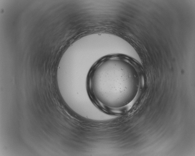 X0000068890760200605051357
