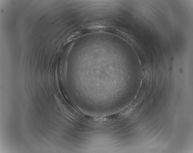 X0000068890767200605051357