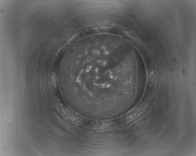 X0000068890772200605051357
