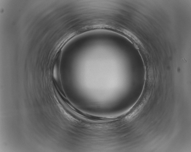 X0000068890801200605051356