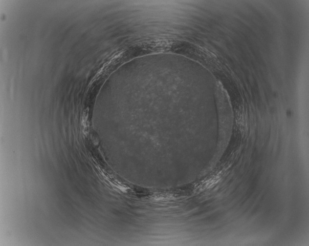 X0000068890818200605051355