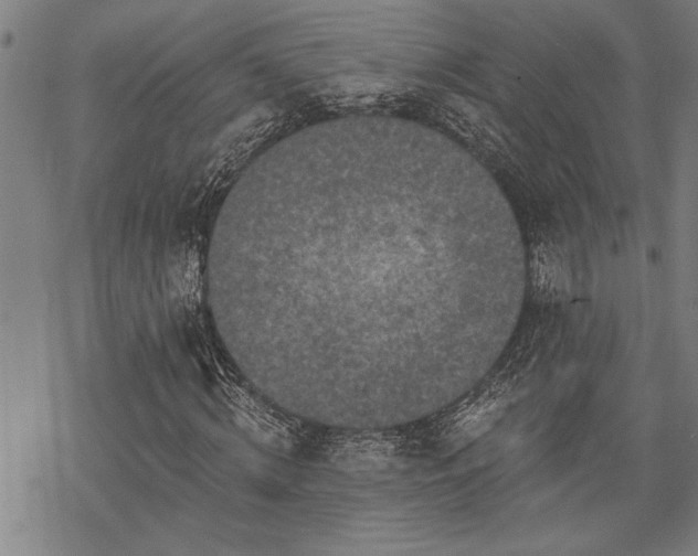 X0000068890820200605051355