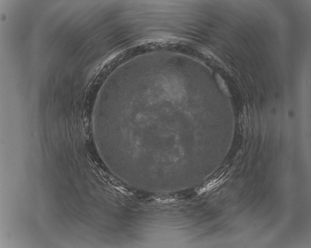 X0000068890822200605051355