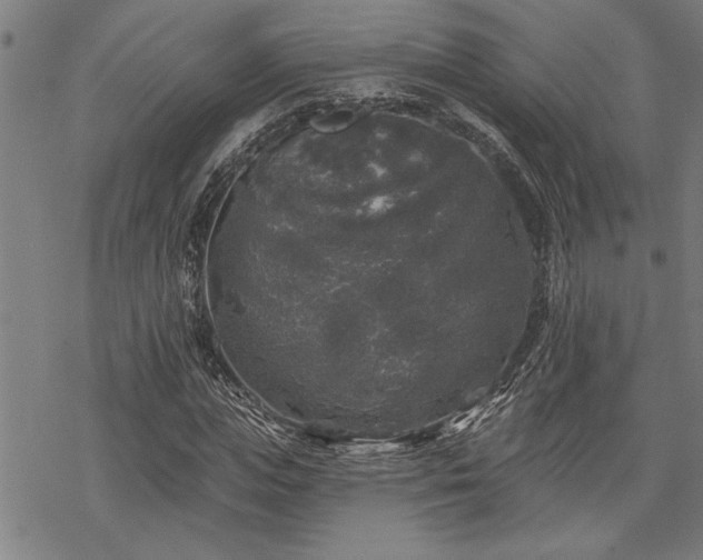 X0000068890823200605051355