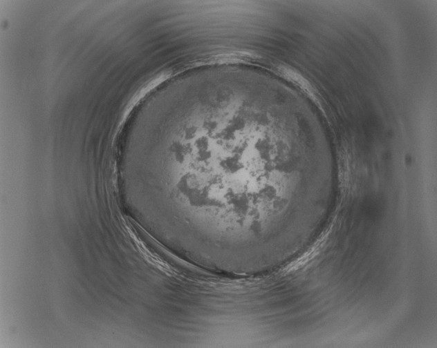 X0000068890827200605051355