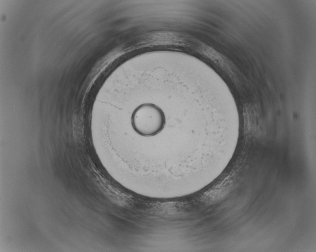 X0000068890828200605051355