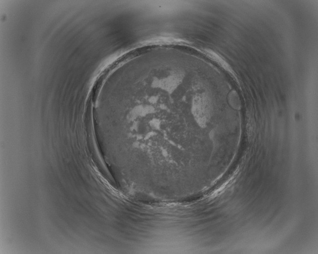 X0000068890831200605051355