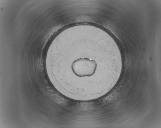 X0000068890832200605051355