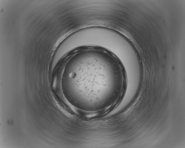 X0000068890842200605051355