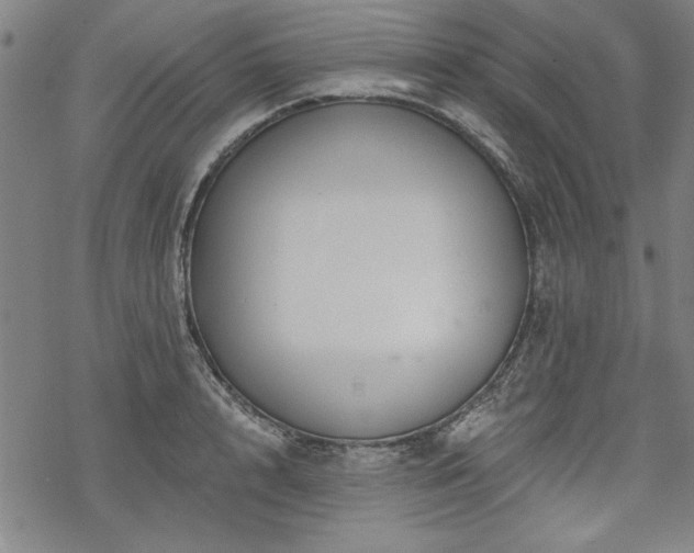 X0000068890848200605051355