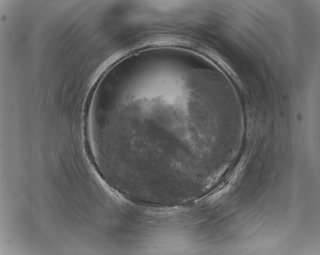 X0000068890853200605051355