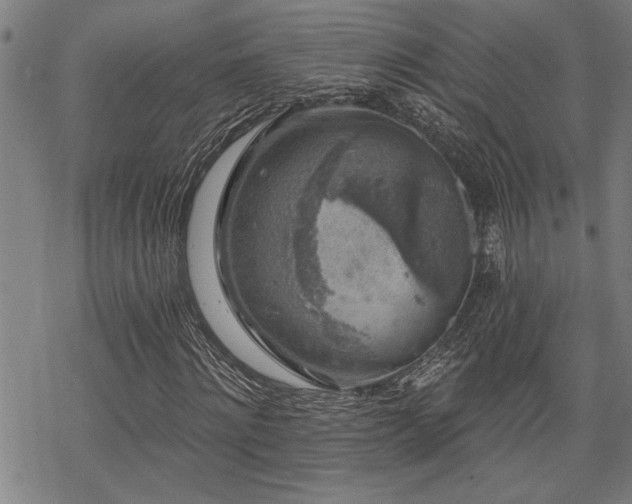 X0000068890868200605051355