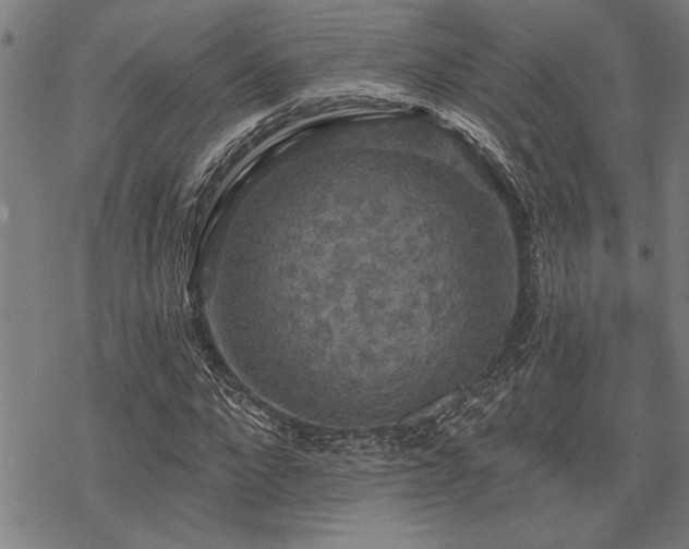 X0000068890872200605051355