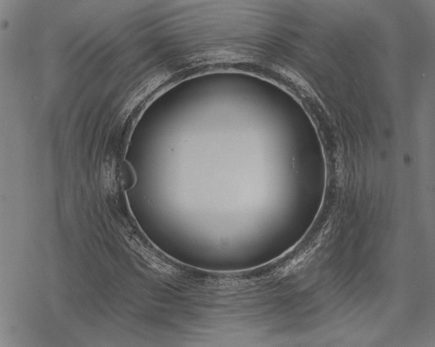 X0000068890873200605051355