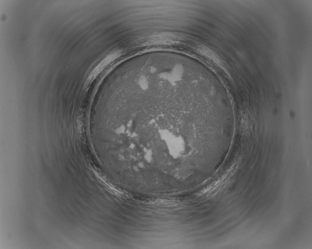 X0000068890874200605051355