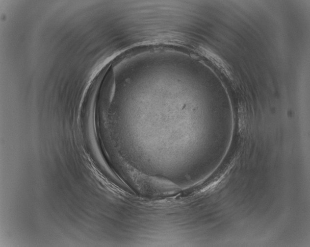 X0000068890876200605051355