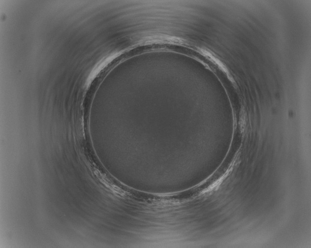 X0000068890877200605051355