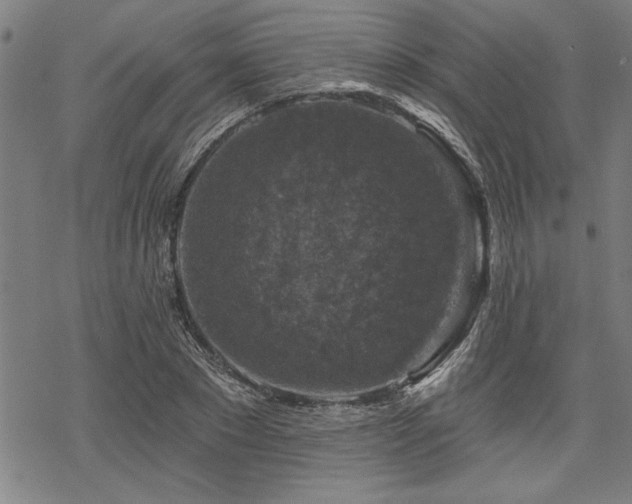 X0000068890881200605051355