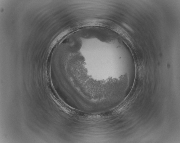 X0000068890882200605051355