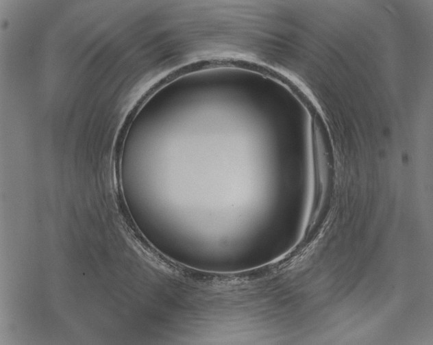 X0000068890887200605051355