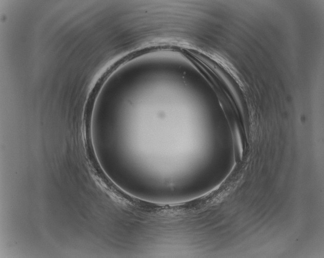 X0000068890888200605051355