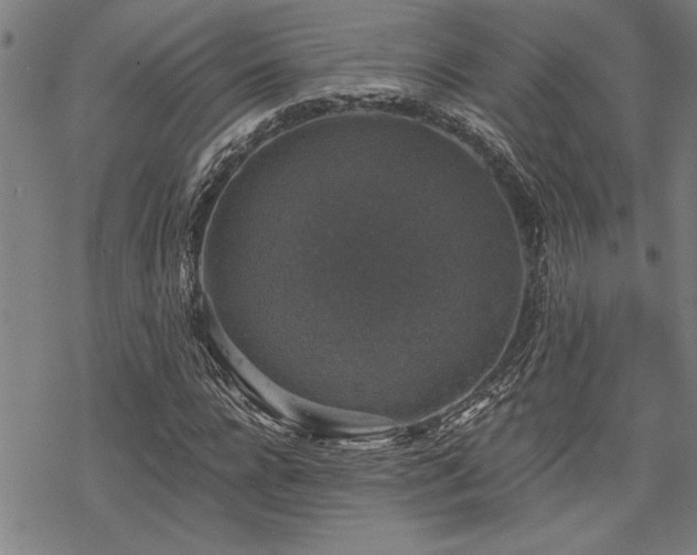 X0000068890920200605051353