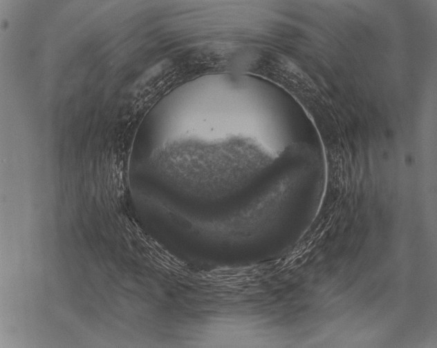 X0000068891013200605051352