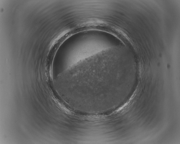 X0000068891018200605051352