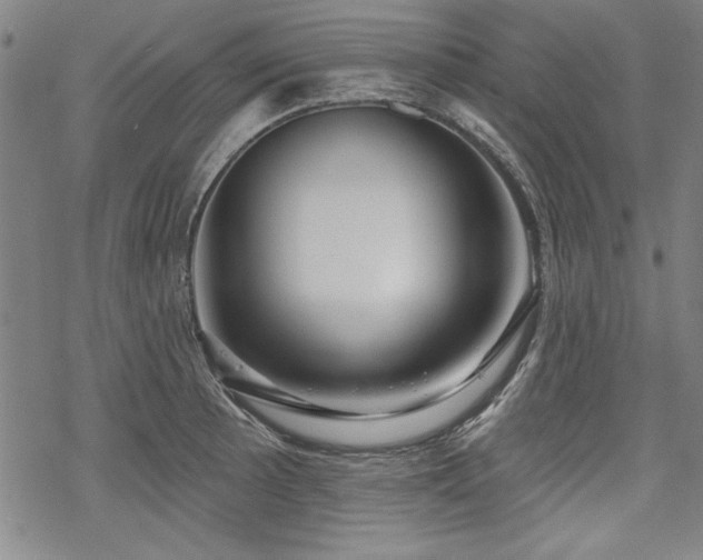 X0000068891089200605051351