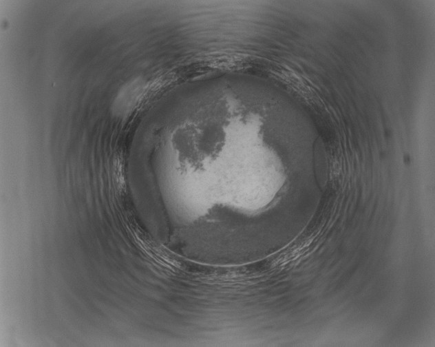 X0000068891106200605051350