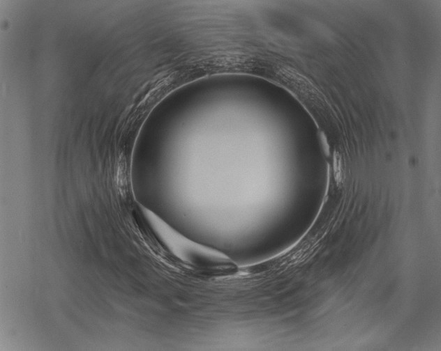 X0000068891107200605051350