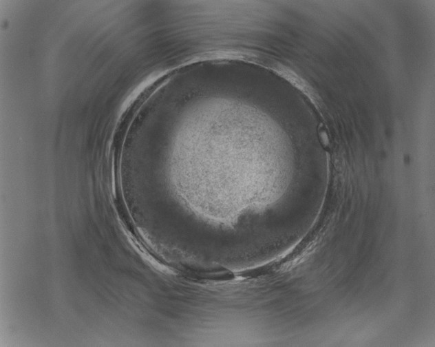 X0000068891127200605051351