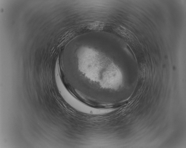 X0000068891154200605051350