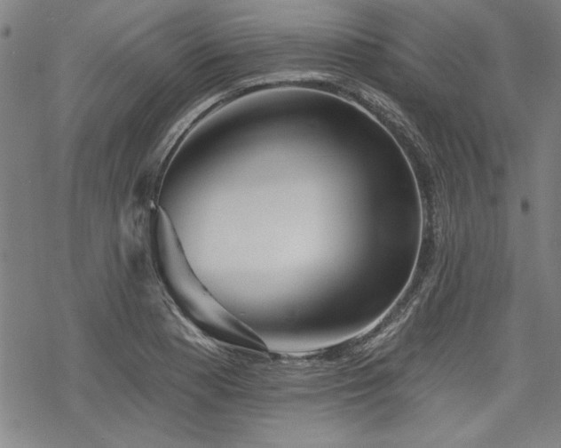 X0000068891177200605051350