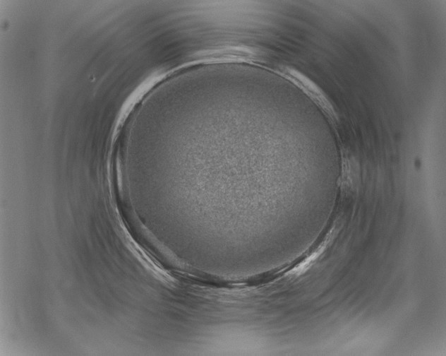 X0000068891196200605051349