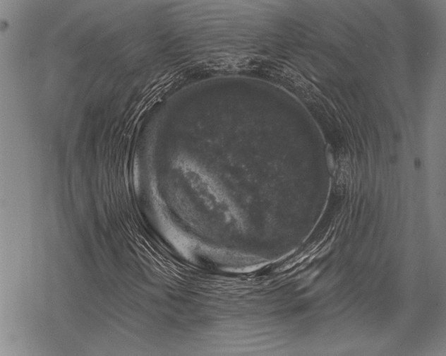 X0000068891202200605051349