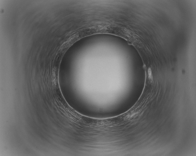 X0000068891203200605051349