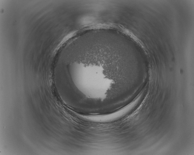 X0000068891213200605051349