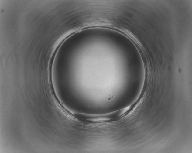 X0000068891246200605051349