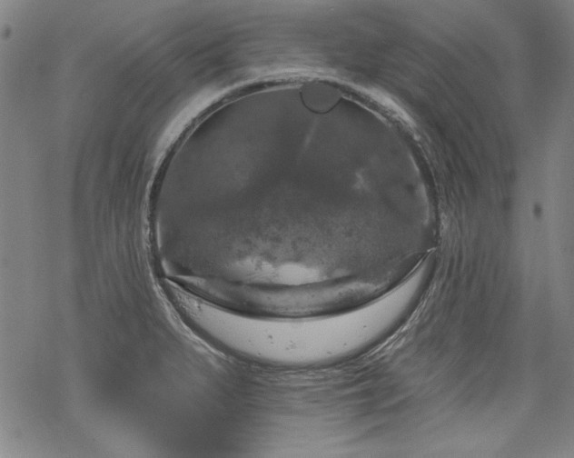 X0000068891279200605051348