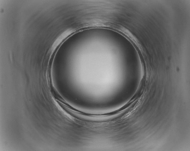 X0000068891293200605051348