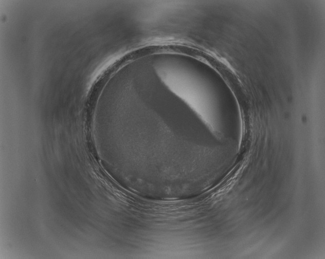 X0000068891311200605051347