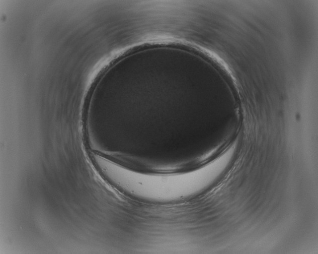 X0000068891327200605051348