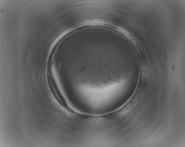 X0000068891331200605051348