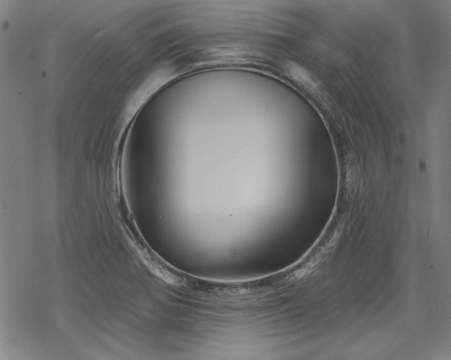 X0000068891370200605051347