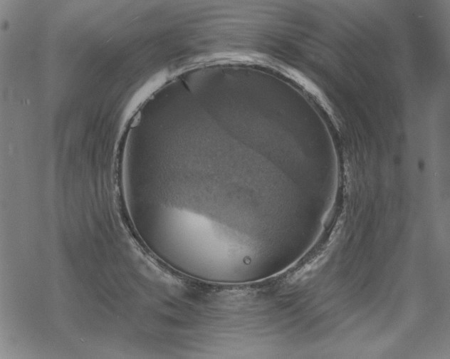 X0000068891373200605051347