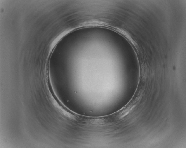 X0000068891387200605051346