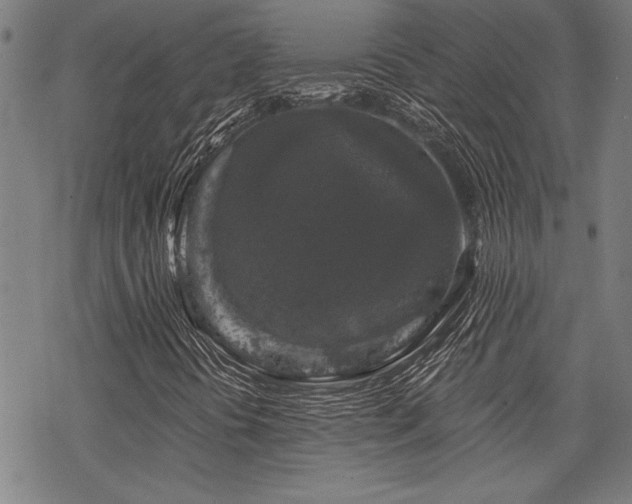 X0000068891394200605051345