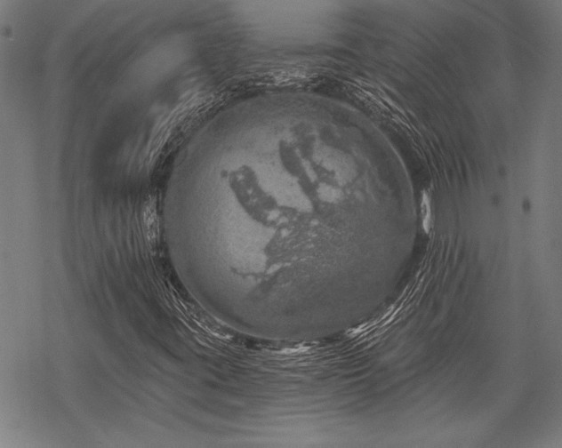 X0000068891395200605051345